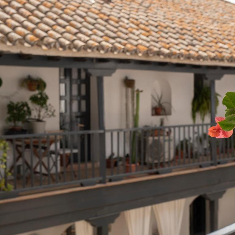 Andalusian Courtyard - Apartamento con vistas al jardín - 46