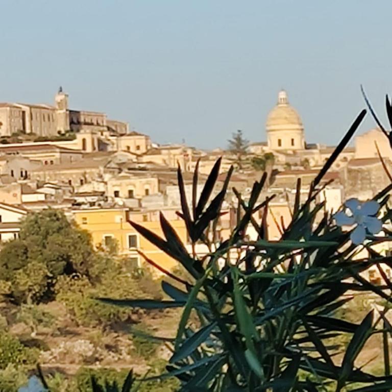 Il Primo Fiore - Casa con 4 camere da letto - 16