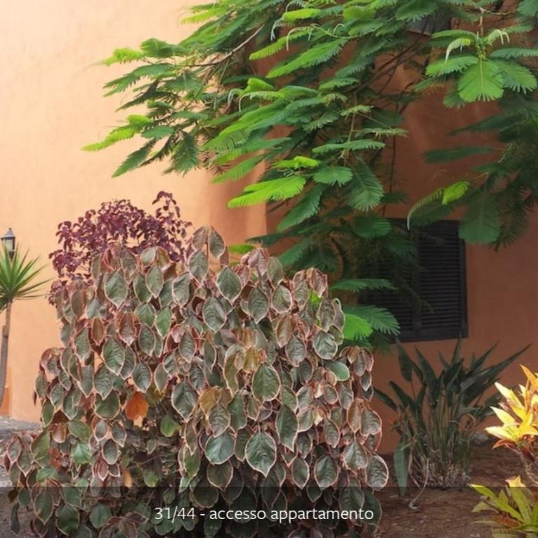 My Home in the Sun - Apartamento de 2 dormitorios - 17