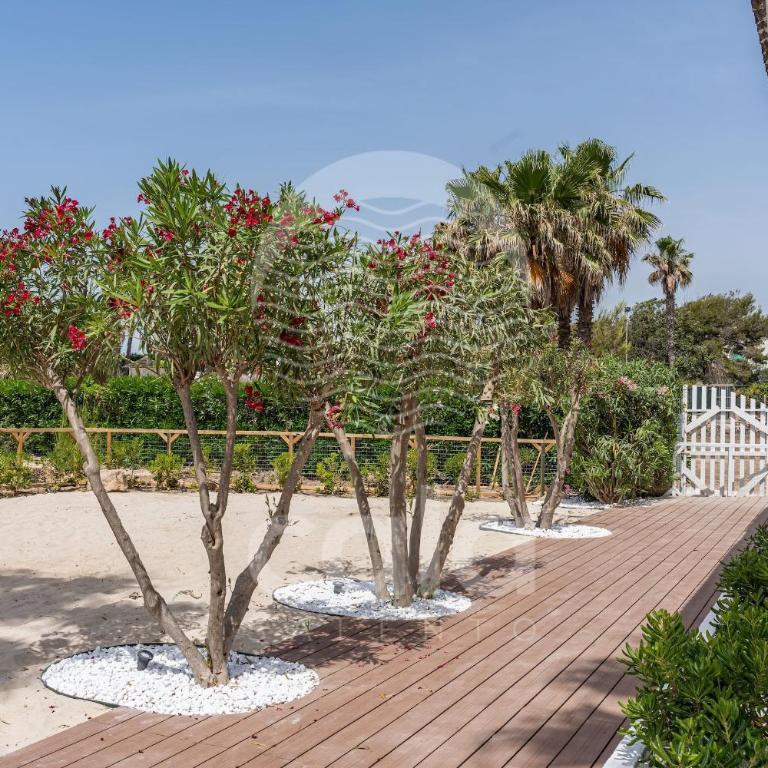 Villa Sabbia Bianca By Cala Salento - Villa Fronte Spiaggia - 56
