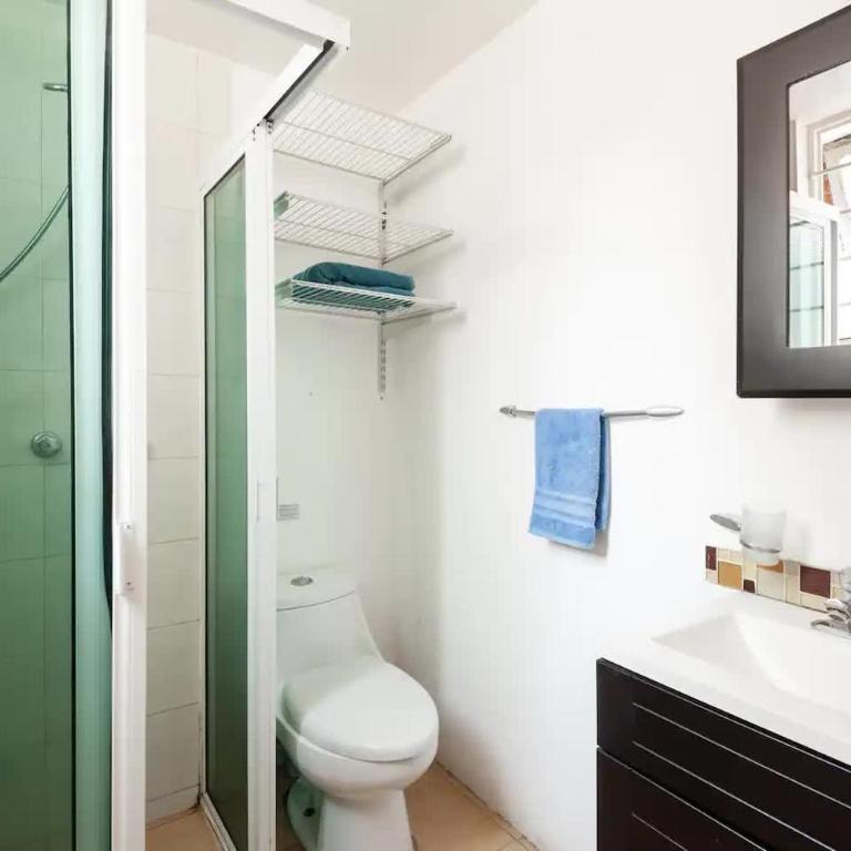 Cozy & Full Apt in Coyoacan Great for Long Stays - One-Bedroom Apartment - 10