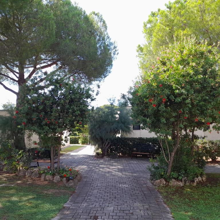 Ibiscus Beach Village - Camera Quadrupla - 54