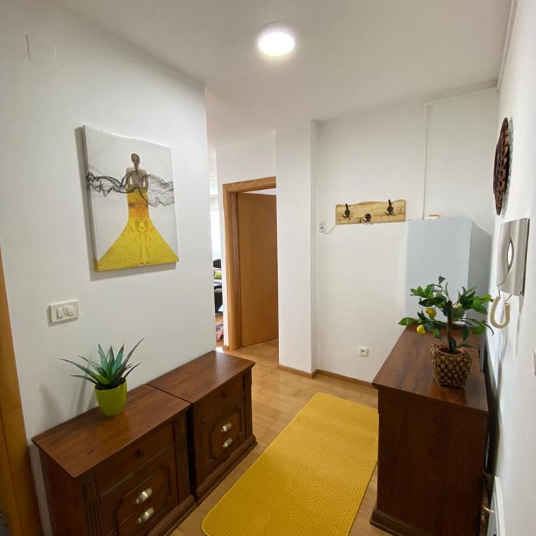 Sandra - Apartman sa 1 Spavaćom Sobom - 9