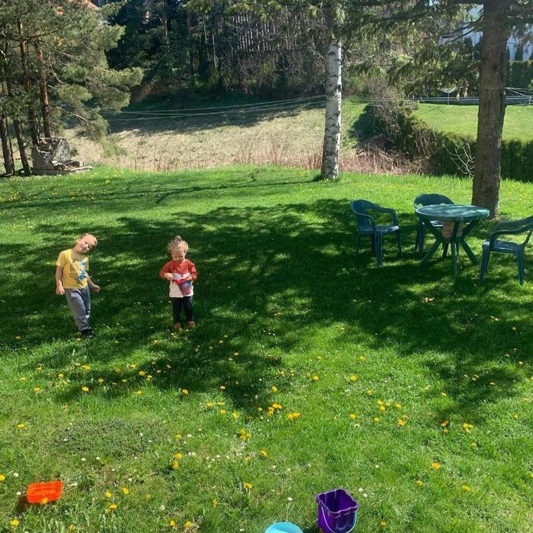 Studio Kruna - Apartman sa 1 Spavaćom Sobom - 2