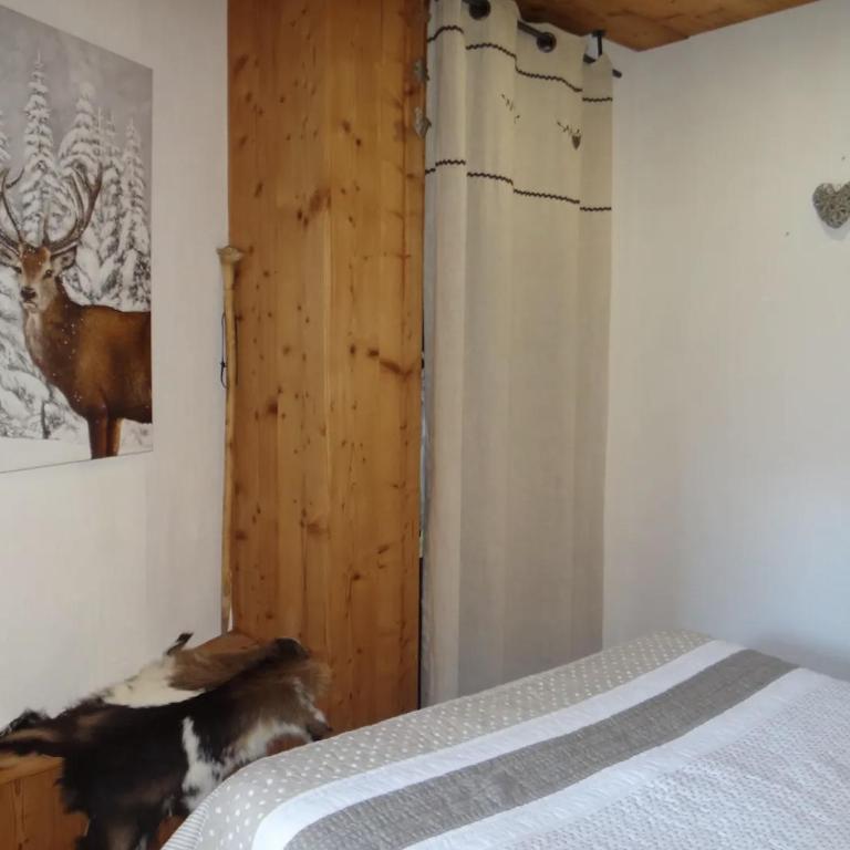 Cocoonabay Appartements 8 - Appartement 2 Chambres - 19