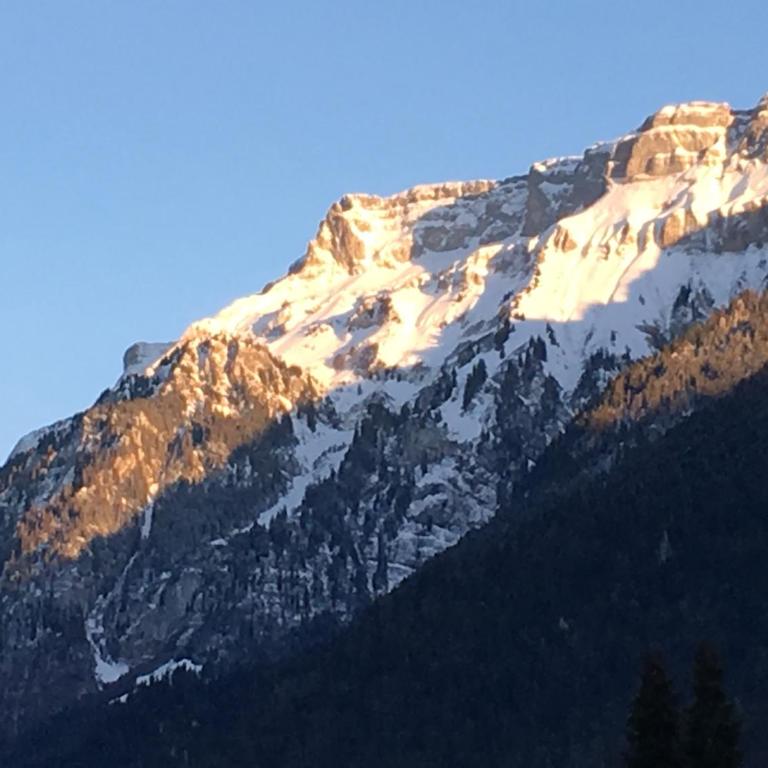 Ferienwohnung Interlaken/Wilderswil - Apartment mit 1 Schlafzimmer - 6