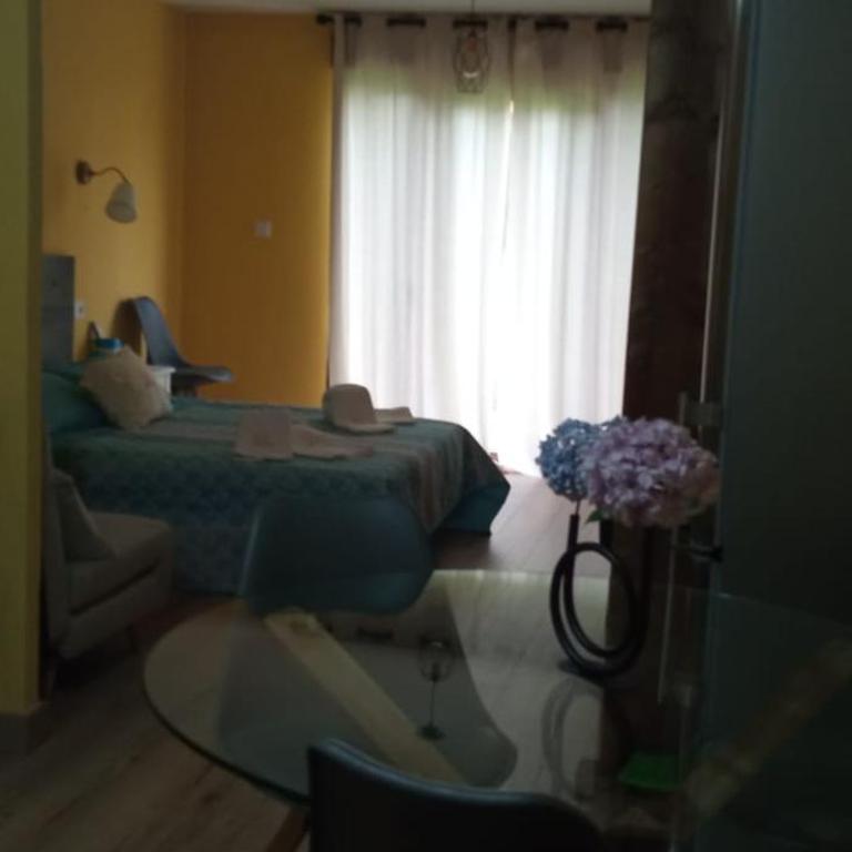 L'Antojana del Cuera Antilles - Apartamento de 1 dormitorio - 12