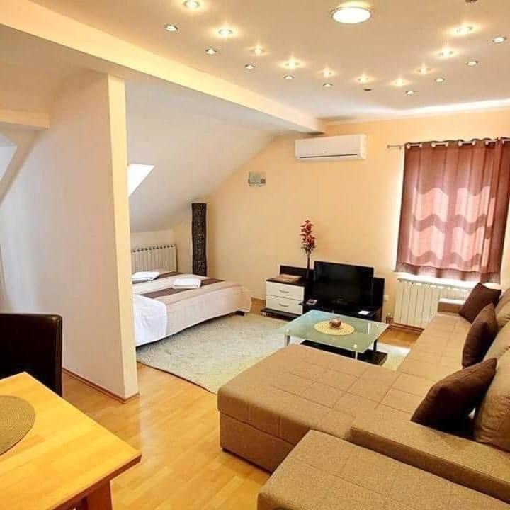 Sarajevo Apartments Casa United - Deluks Apartman sa 2 Spavaće Sobe - 13