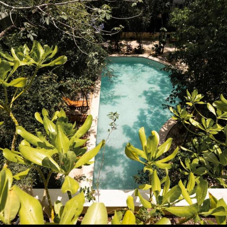 PENTHOUSE EN LA VELETA TULUM CON ALBERCA PRIVADA - Apartamento de 1 dormitorio - 2