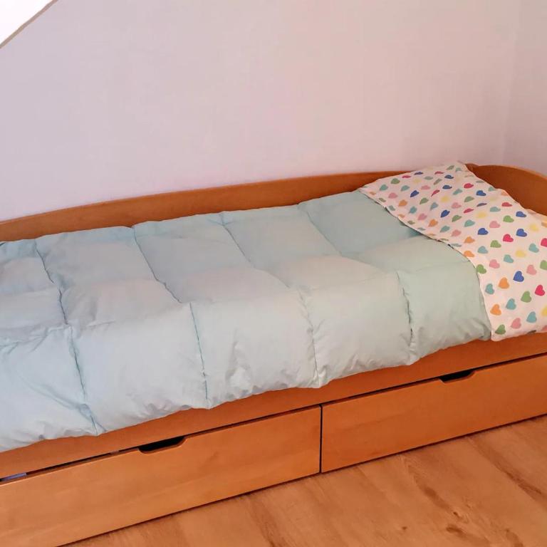 Flat in Belgrade city center, 45m2 - Apartman sa 1 Spavaćom Sobom - 6