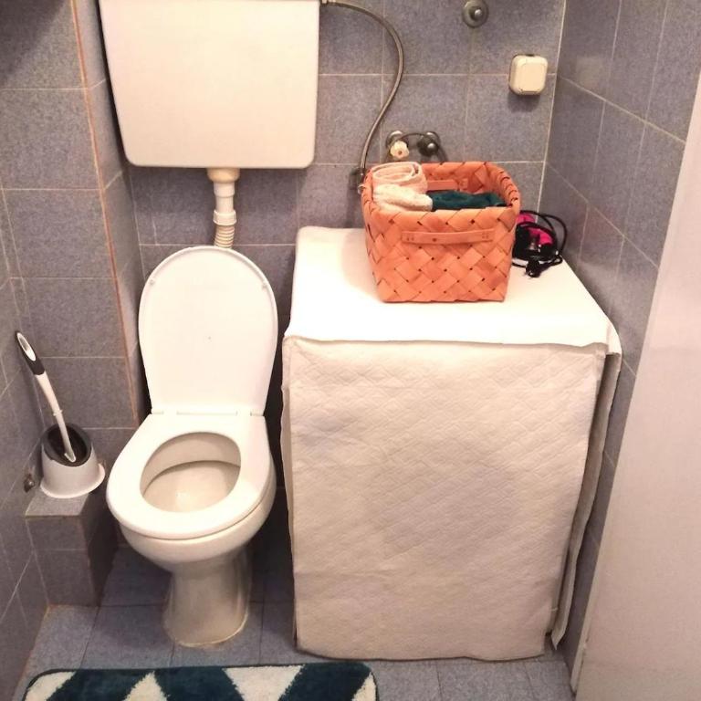 Flat in Belgrade city center, 45m2 - Apartman sa 1 Spavaćom Sobom - 8