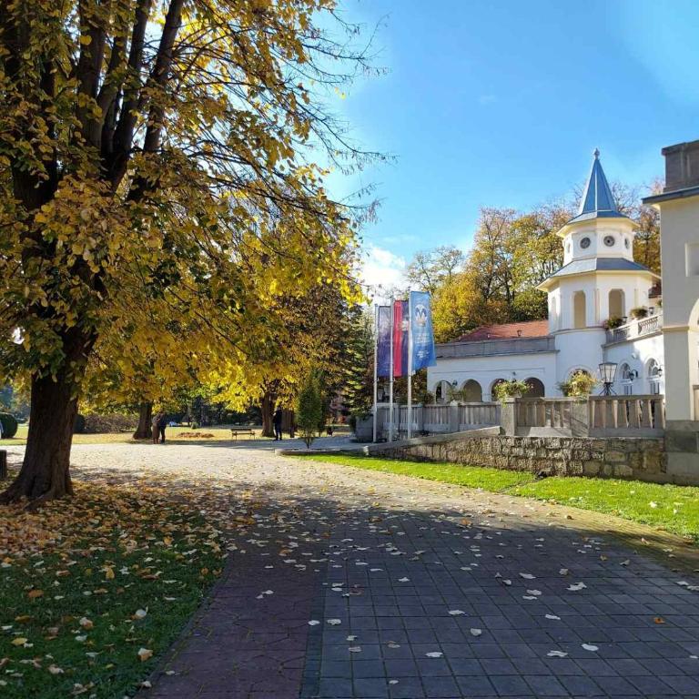 Apartman Đurđevak ,Banja Koviljača - Apartman sa 2 Spavaće Sobe - 22