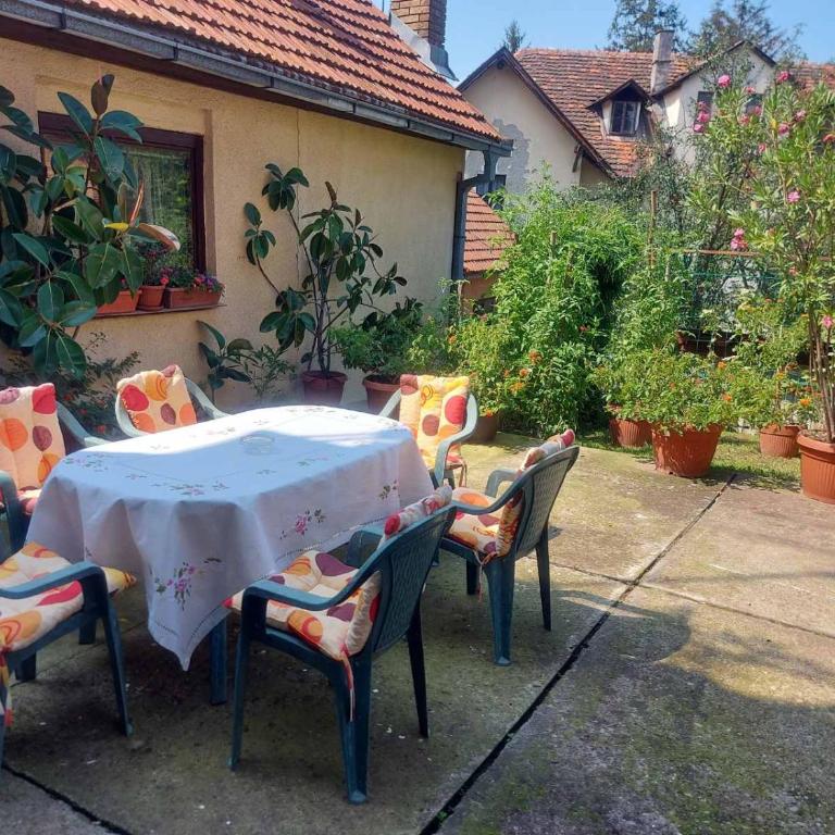 Apartman Đurđevak ,Banja Koviljača - Apartman sa 2 Spavaće Sobe - 17