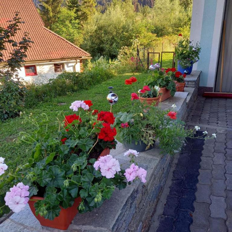 Alie Gusta - Apartment mit Blick auf die Berge - 24
