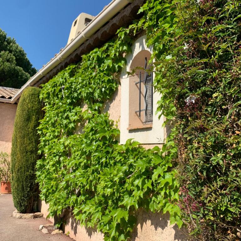 Villa ANOLPA - Appartement 1 Chambre - 6