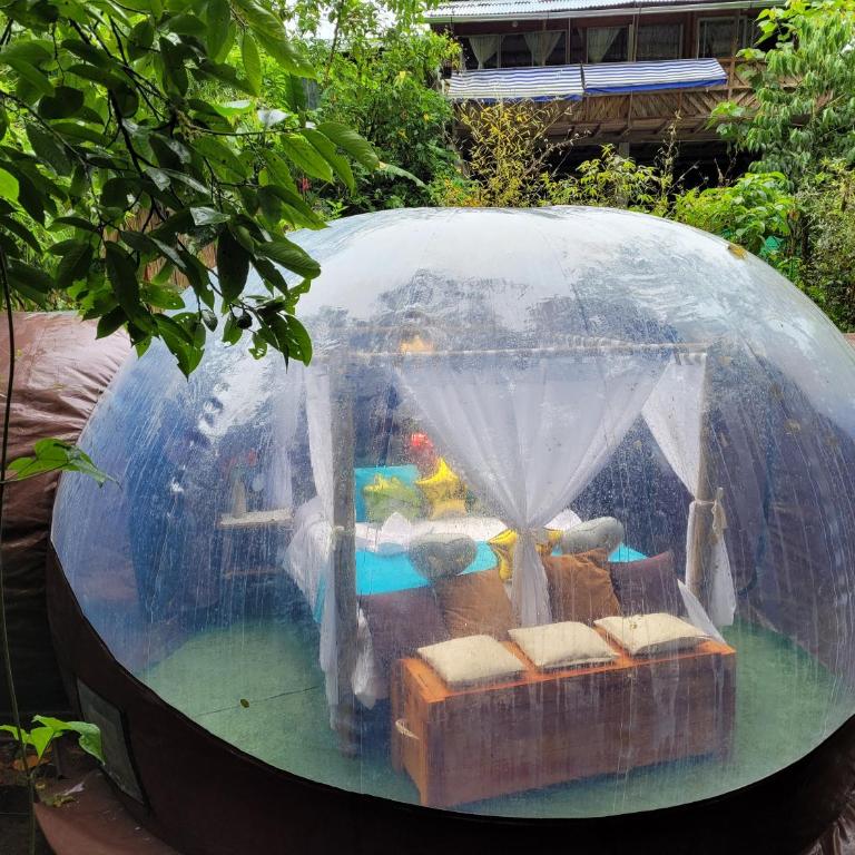 Mindo GlamBird Glamping & Lodge - Tent - 4