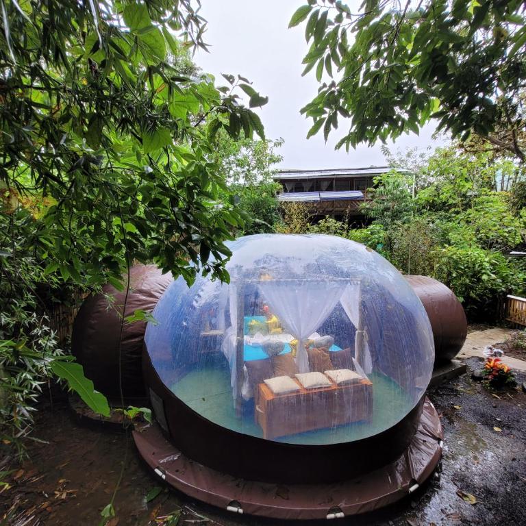 Mindo GlamBird Glamping & Lodge - Tent - 5
