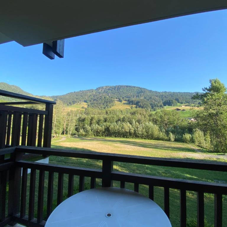 Studio face aux pistes - Studio - Vue sur Montagne - 12