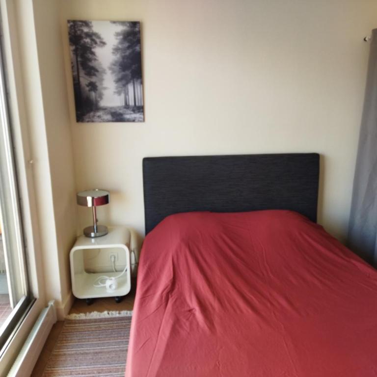 Paris 2 pièces rénové - Appartement 1 Chambre - 16