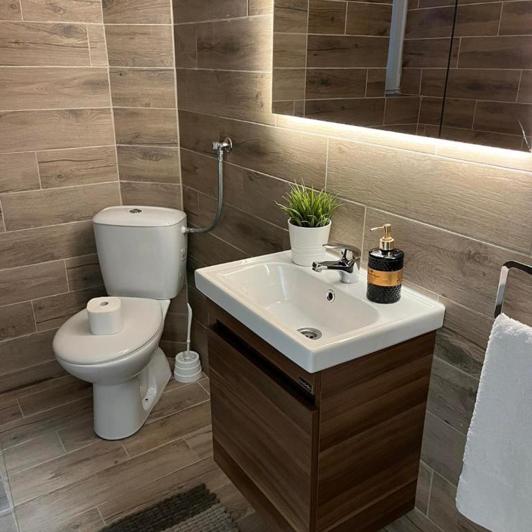 Apartmani Tesla - Apartman sa Pogledom na Planinu - 2