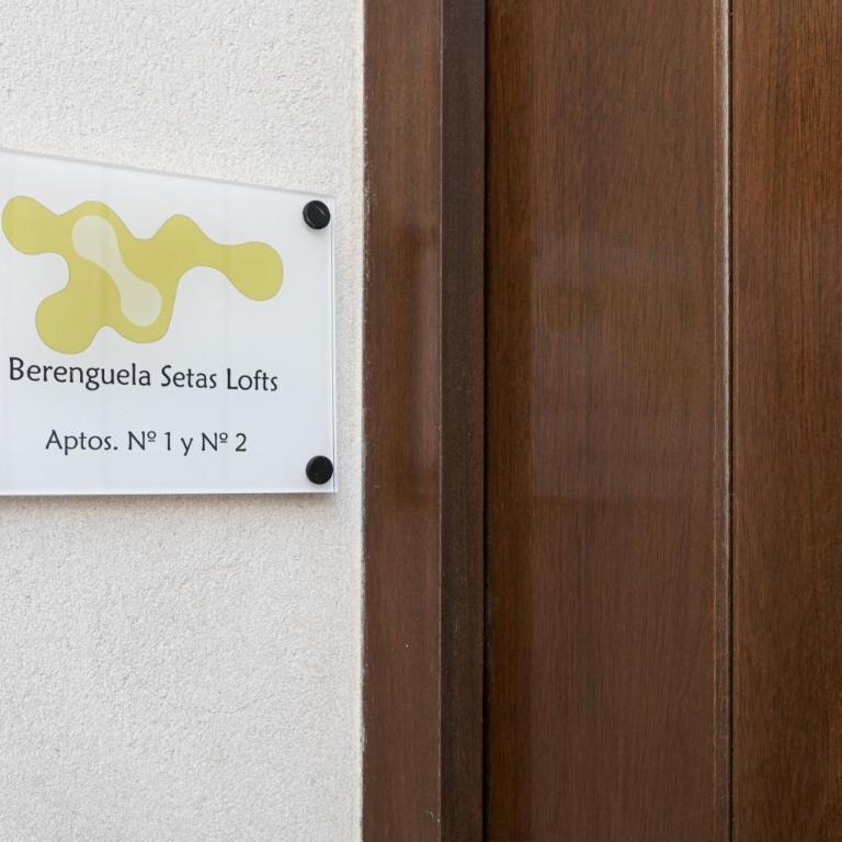 Berenguela Setas Lofts - One-Bedroom Apartment - 3