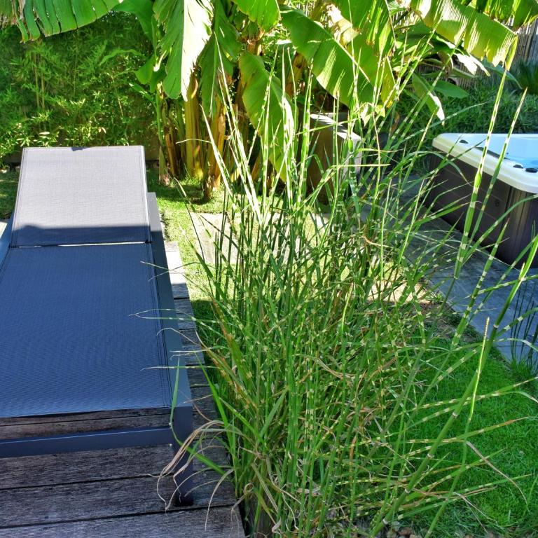 Fare Bambou - Appartement - 37