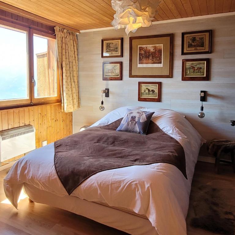 Magical Hideaway - Two-Bedroom Apartment - 2
