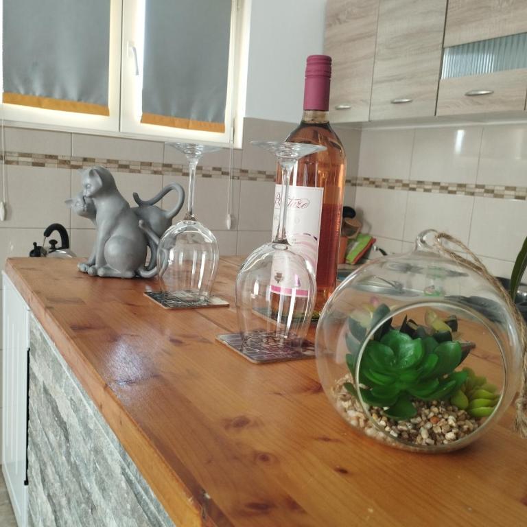Pocanic's apartment - Apartman sa 2 Spavaće Sobe - 8