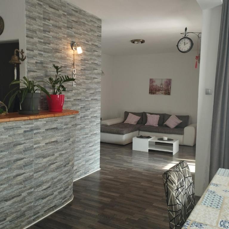 Pocanic's apartment - Apartman sa 2 Spavaće Sobe - 4