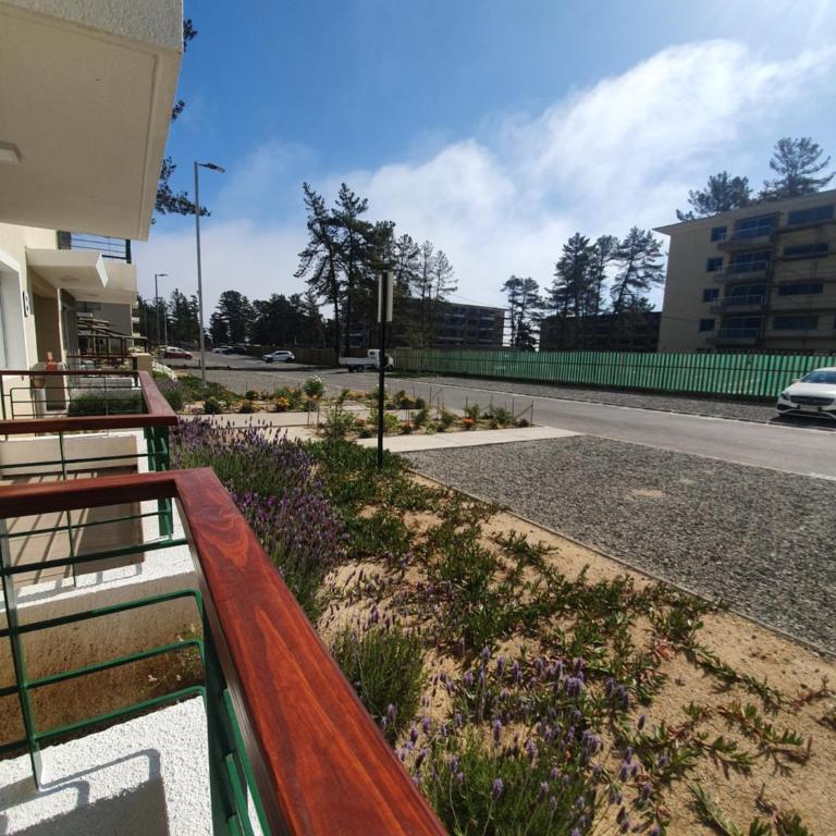 Hermoso Departamento - Three-Bedroom Apartment - 23