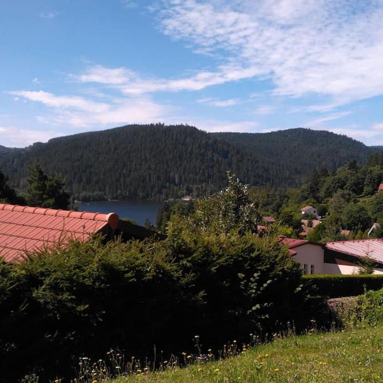 Esprit Myrtille Terrasse Vue Lac - Appartement - 32