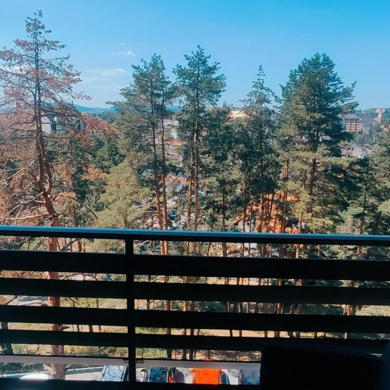 BalkanHill2 S37 Pekovic green - Apartman sa 1 Spavaćom Sobom - 84