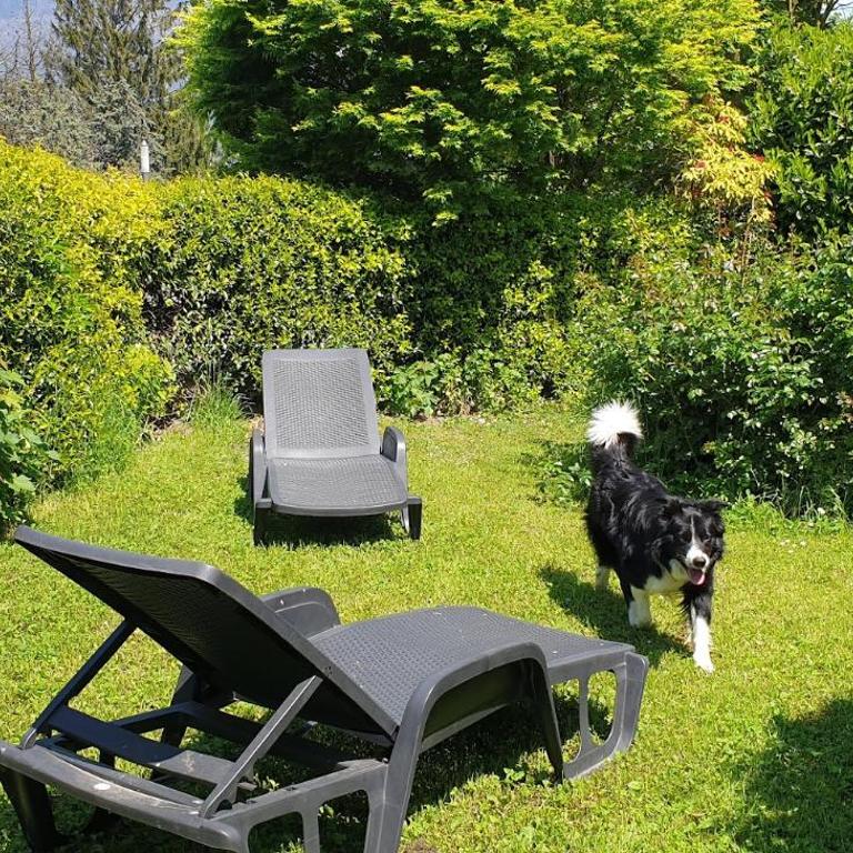 Villa Lago Groundfloor Lakefront Beach Garden Bike&Boat& Scooter Lake Como - Appartamento con 2 Camere da Letto - 31