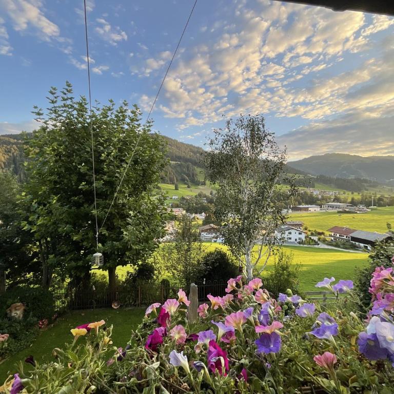 Appartement Murmele Adults only - Appartamento con 1 Camera da letto con doccia - 9