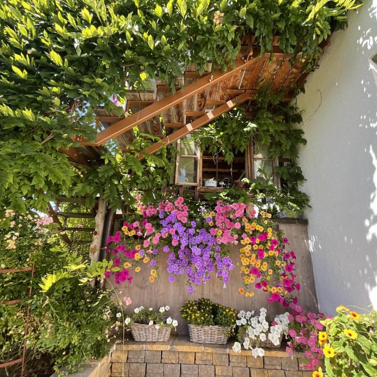 Appartement Murmele Adults only - Appartamento con 1 Camera da letto con doccia - 14