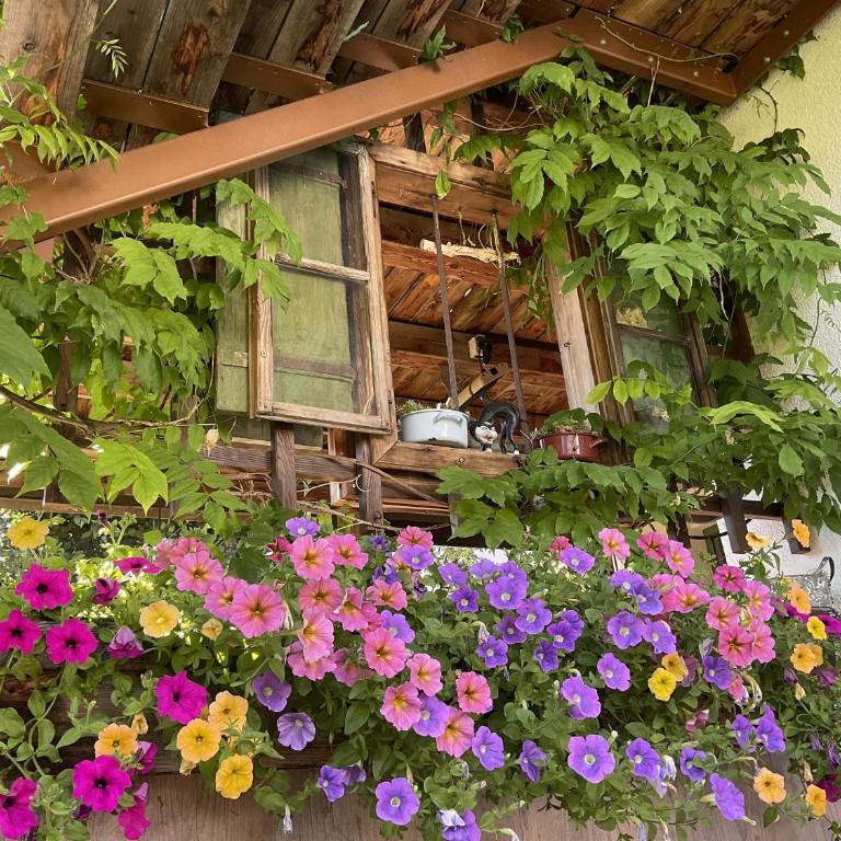 Appartement Murmele Adults only - Appartamento con 1 Camera da letto con doccia - 16
