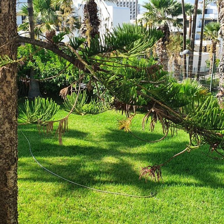 Adults Only Sunny Quiet Apartment with Aircon in Center of Las Americas - Apartamento con vistas a la piscina - 44