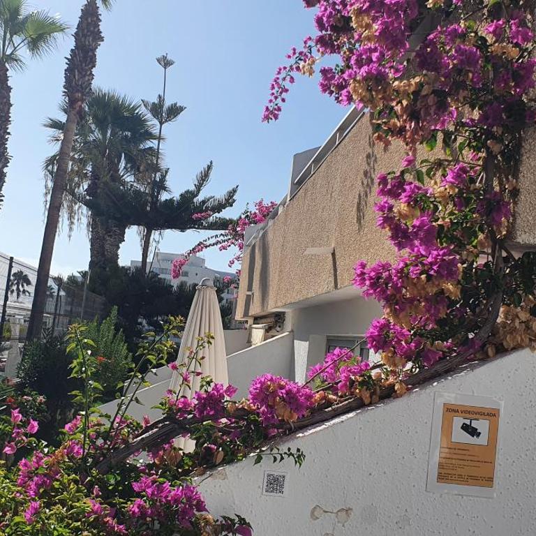 Adults Only Sunny Quiet Apartment with Aircon in Center of Las Americas - Apartamento con vistas a la piscina - 46