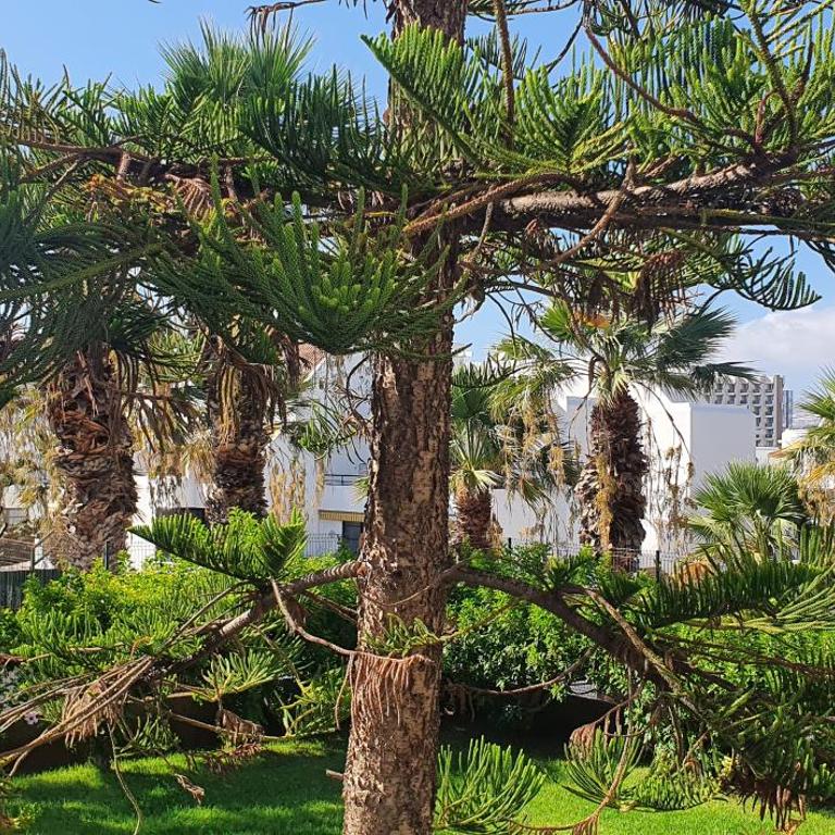 Adults Only Sunny Quiet Apartment with Aircon in Center of Las Americas - Apartamento con vistas a la piscina - 49