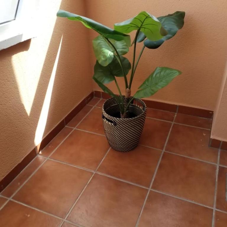 Casa Laguna - Two-Bedroom Apartment - 21