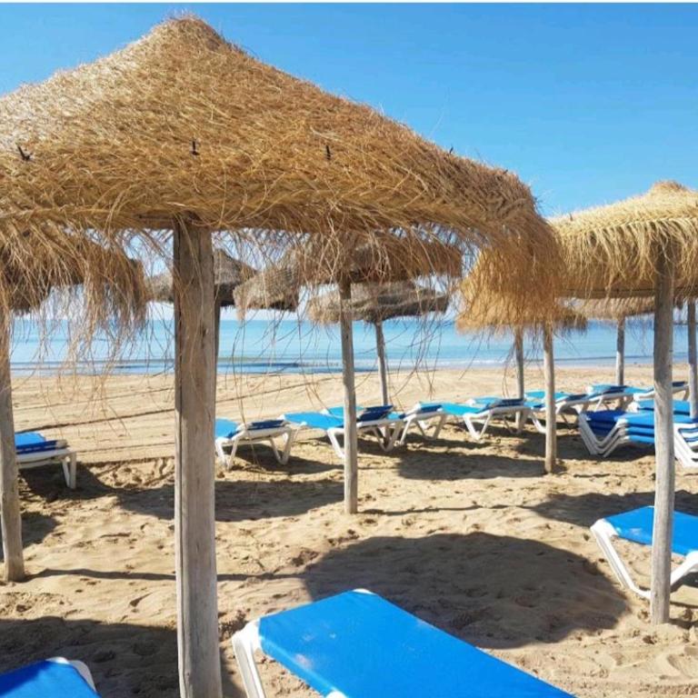 Apartment Los Locos Torrevieja Costa Blanca - Apartamento de 2 dormitorios - 37