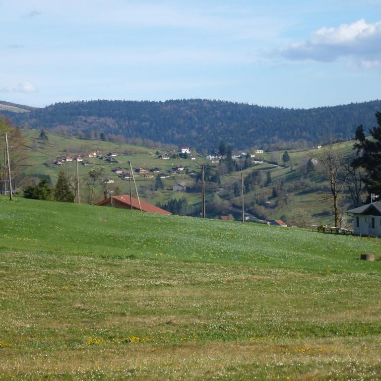 La Bresse Hautes Vosges Chalet 2 à 6 personnes - Chalet - 4
