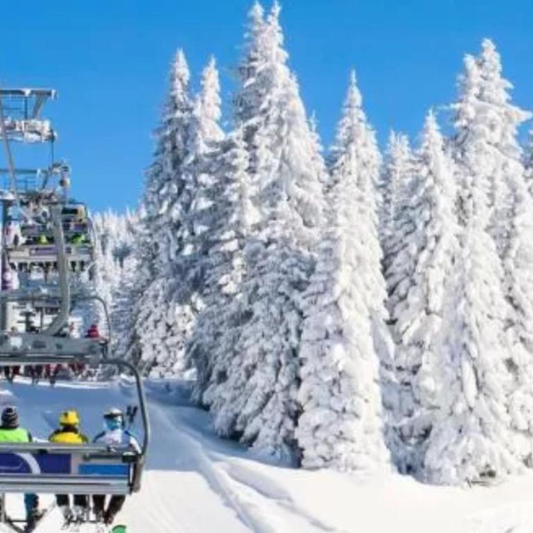 KATARINA - Lux two bedroom apartment in ski resort Kopaonik - Apartman sa 2 Spavaće Sobe - 17