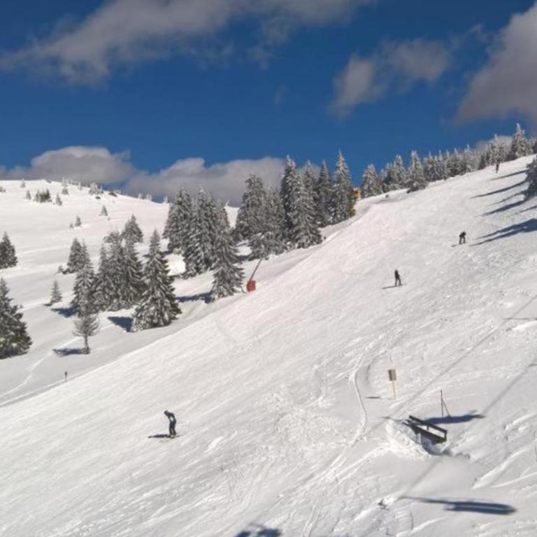 KATARINA - Lux two bedroom apartment in ski resort Kopaonik - Apartman sa 2 Spavaće Sobe - 18