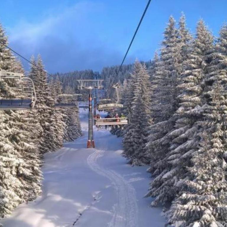KATARINA - Lux two bedroom apartment in ski resort Kopaonik - Apartman sa 2 Spavaće Sobe - 19