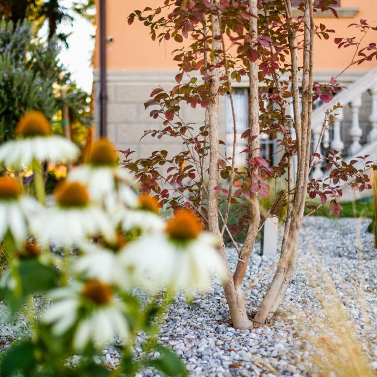 Ca' delle Contesse - Villa on lagoon with private dock and spectacular view - Villa - 35