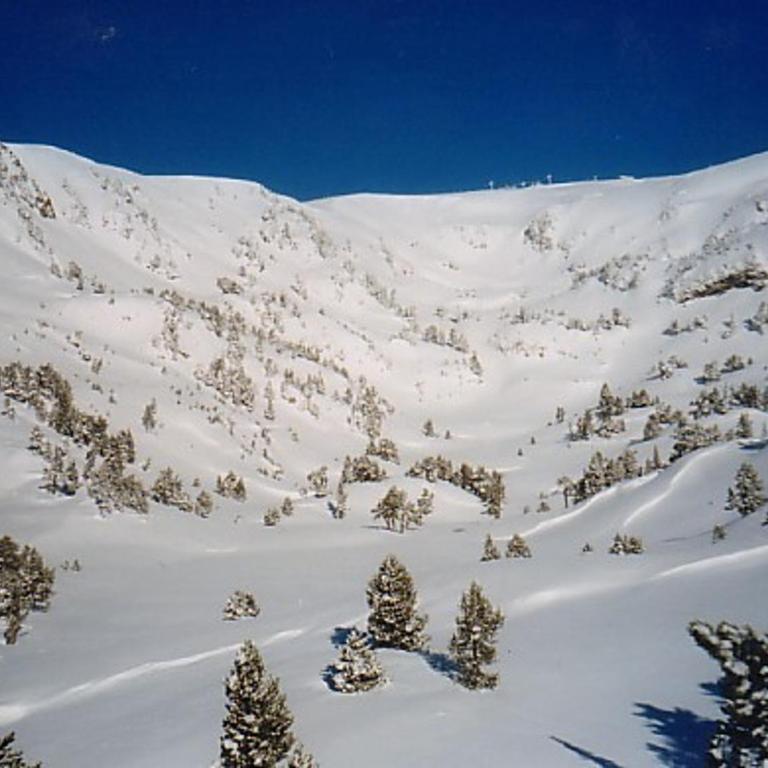 Chalet spacieux à Chamrousse pour 8 personnes sur 3 niveaux - FR-1-549-107 - Chalet - 11