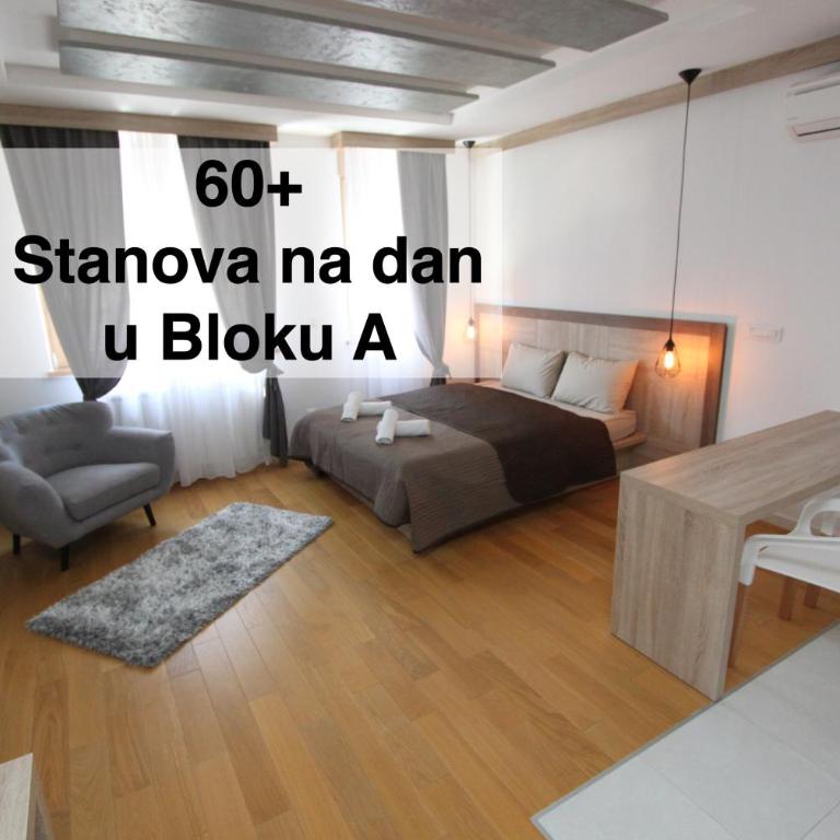 DORA stan na dan Novi Beograd Savada Blok A, parking 5 evra dan - Studio Apartman - 10