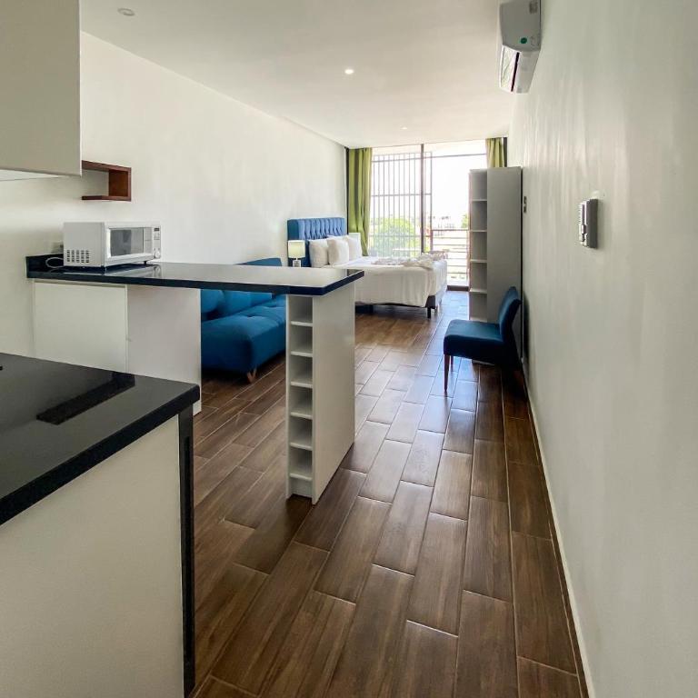 Studios with roofpool in Vanessa 24 - Estudio Triple Estándar - 4