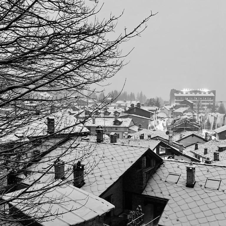 Chalet Blanc "La Mansarda" - Apartment mit 2 Schlafzimmern - 32